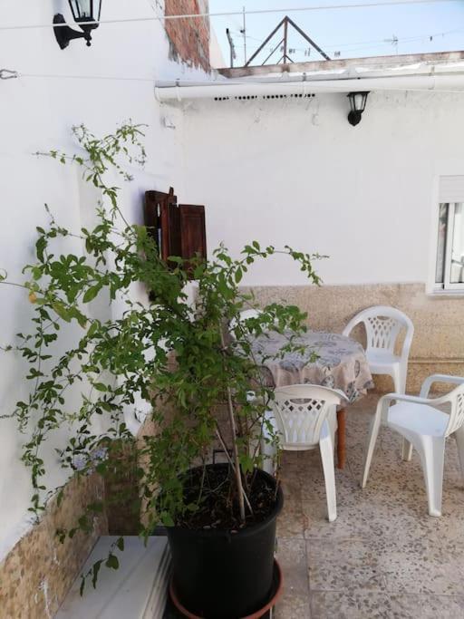 Casa Familiar Patio Y 2 Banos Con Aire Acondicionado Apartamento